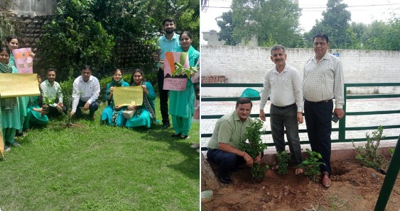 'Plantation Drive by Galaxy College of Education to Promote Environmental Su'